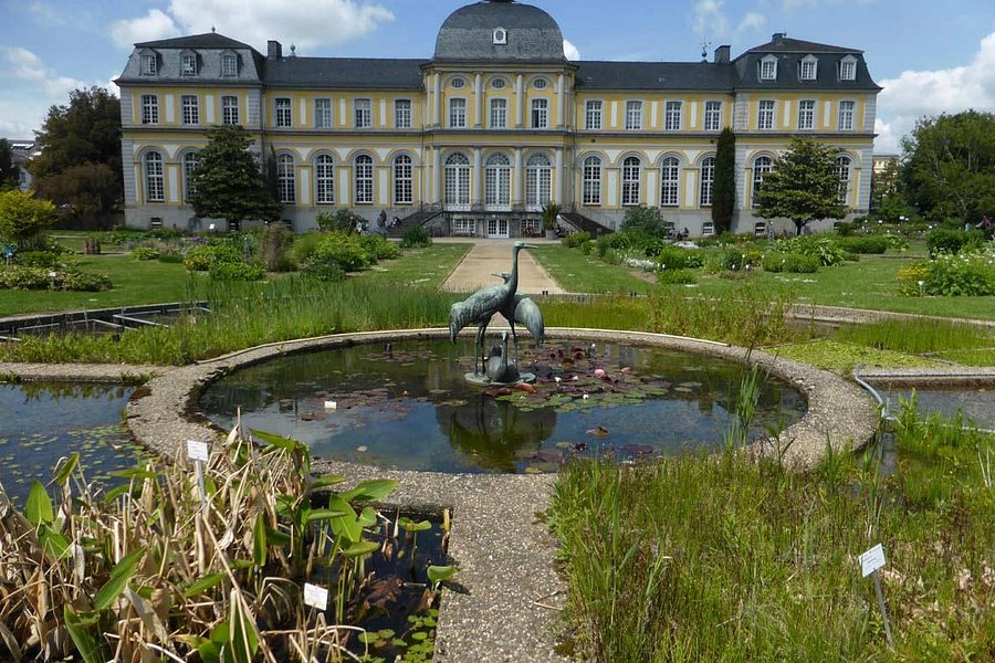 Poppelsdorf Palace image