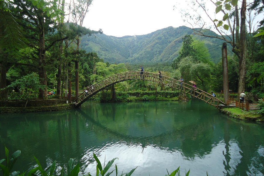 Xitou Nature Eduction Area image