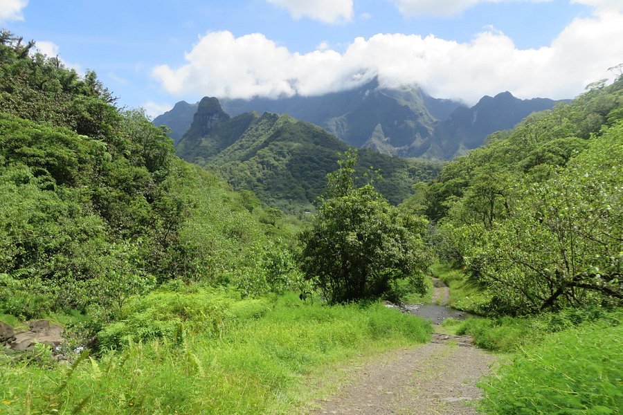 Vallée de la Papenoo image