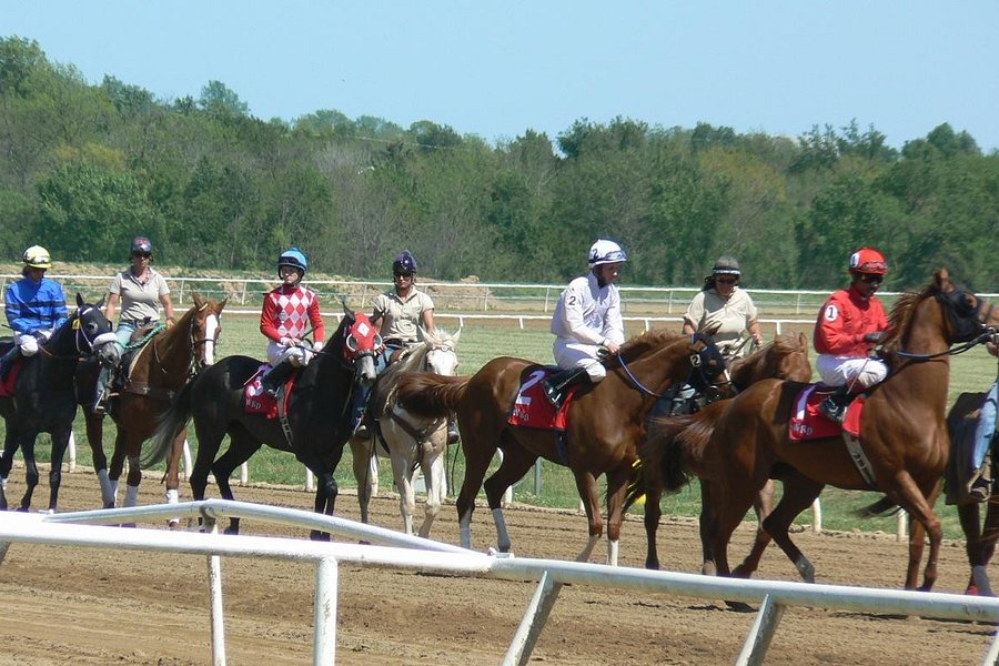 Will Rogers Downs image