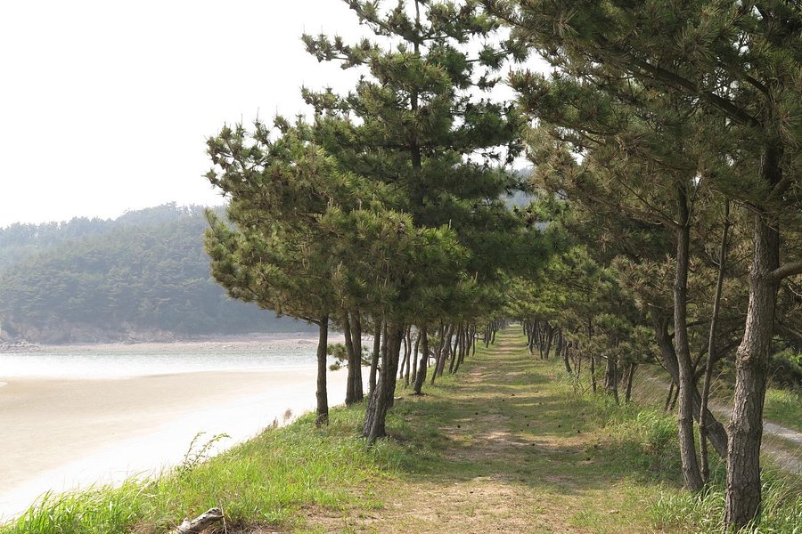 Taeanhaean National Park image
