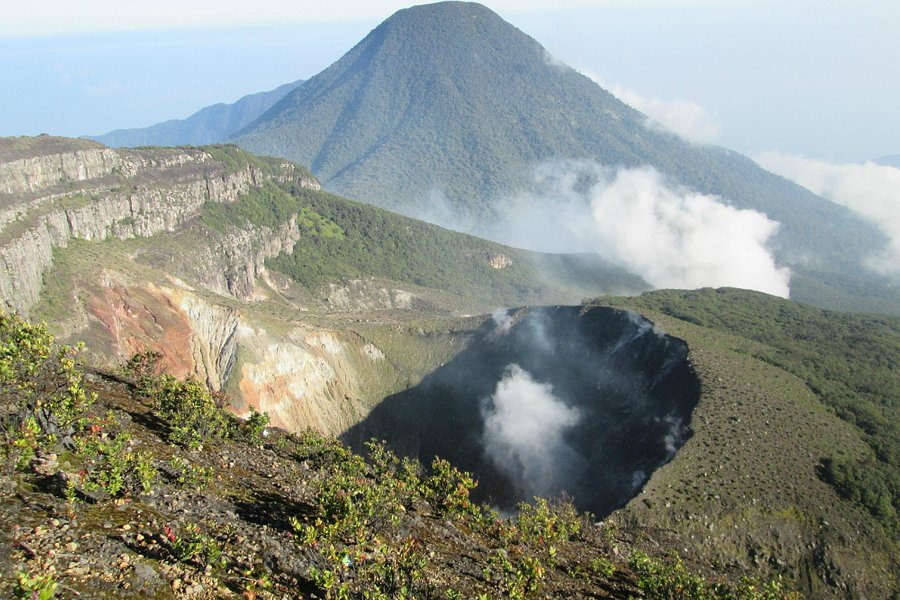 Mount Gede Pangrango National Park image
