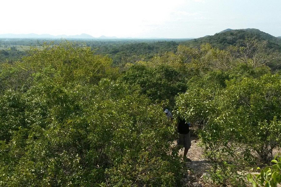 Angammedilla National Park image