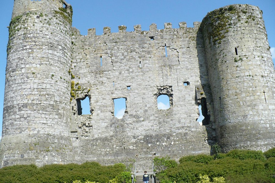Carlow Castle image