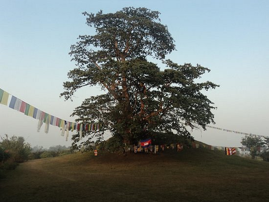 Ramgram Stupa image