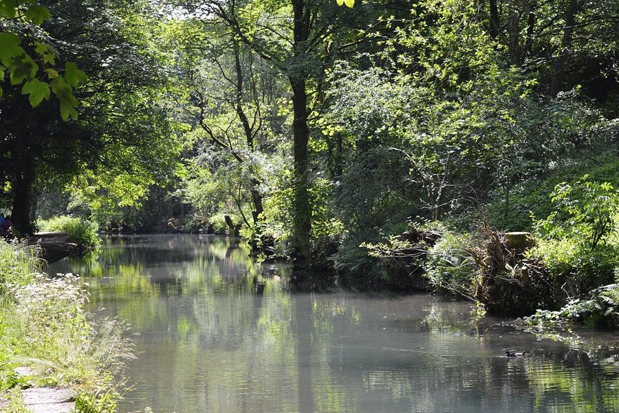 Cromford Canal image