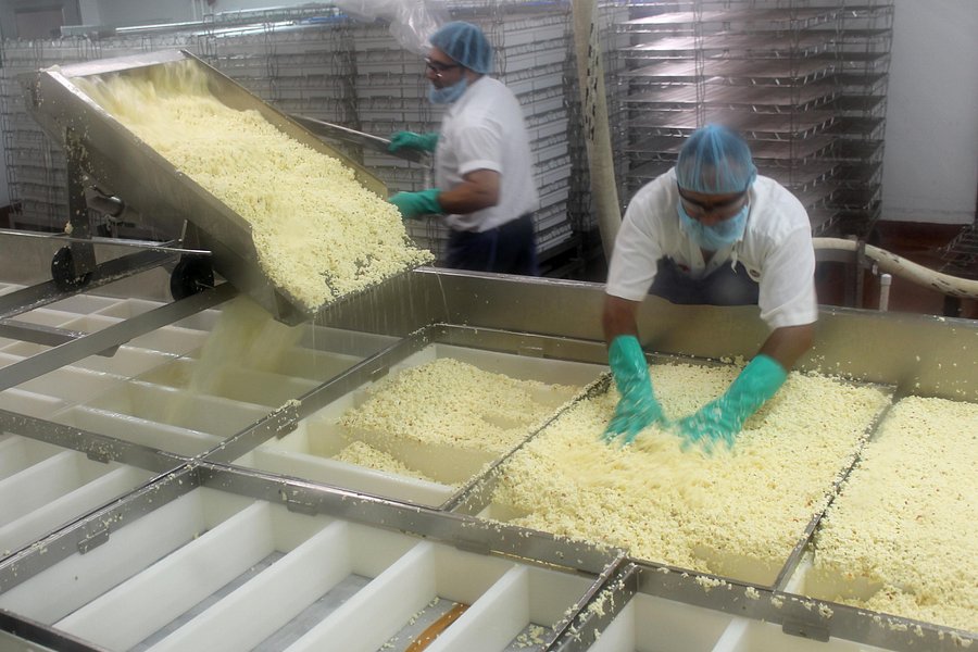 Roth Kase Cheese Factory image