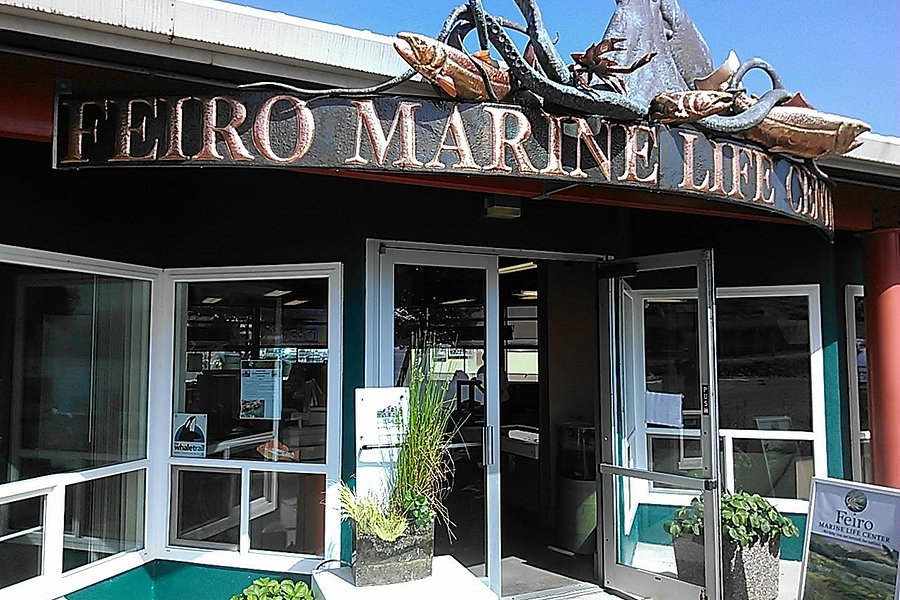 Feiro Marine Life Center image