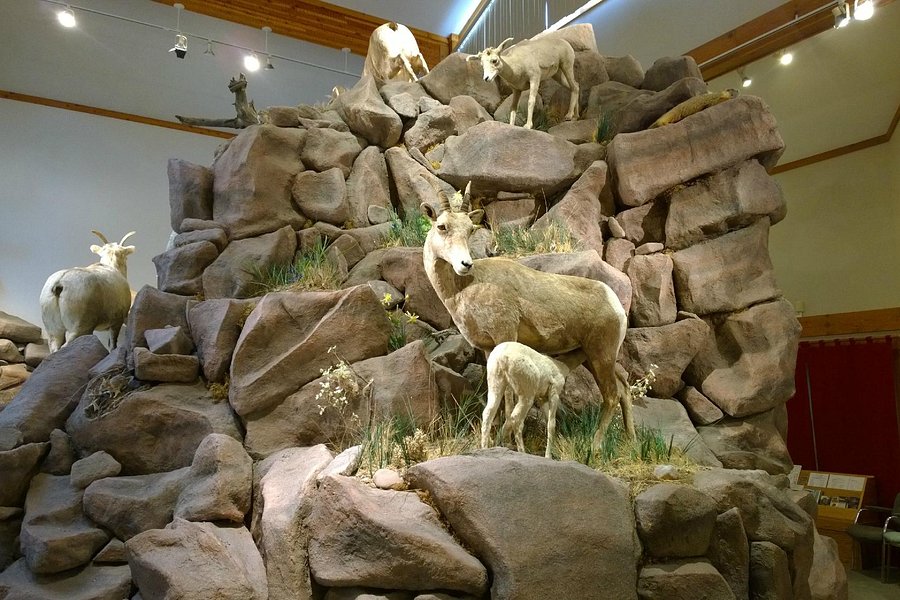 National Bighorn Sheep Center image