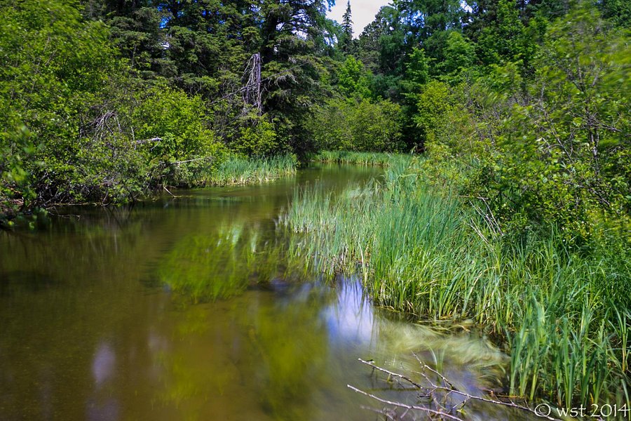 Itasca State Park image