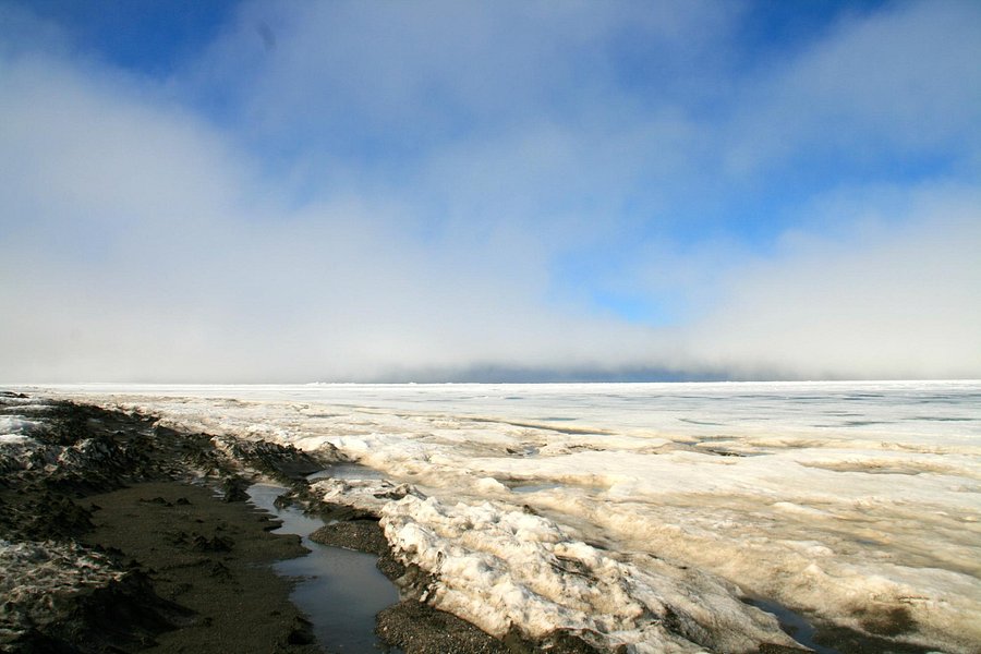 Tundra Tours Inc image