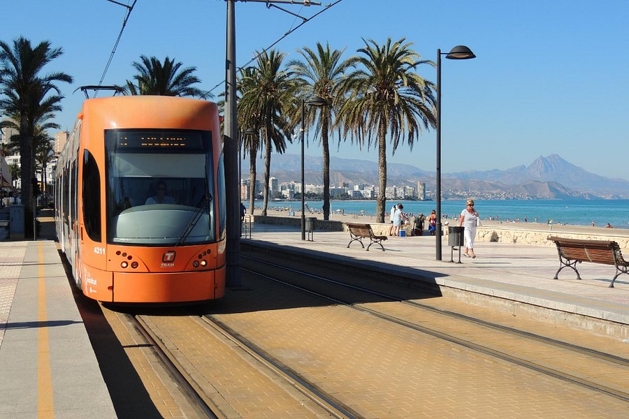 Alicante Tram image