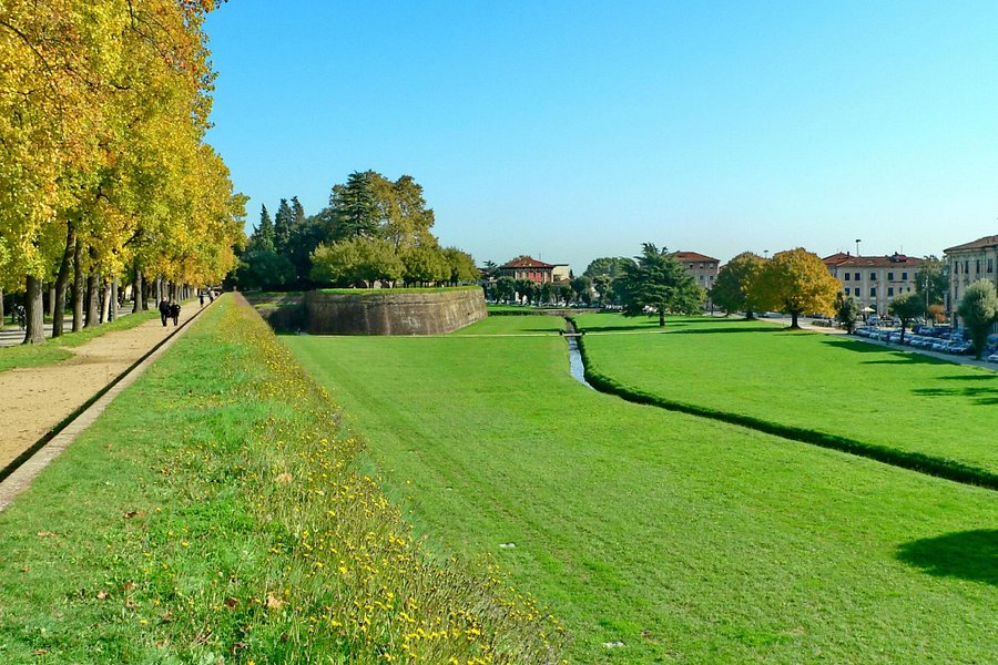 Le mura di Lucca image