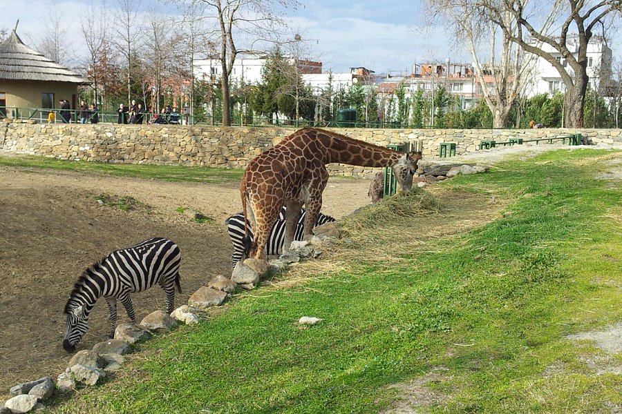 Bursa Zoo image