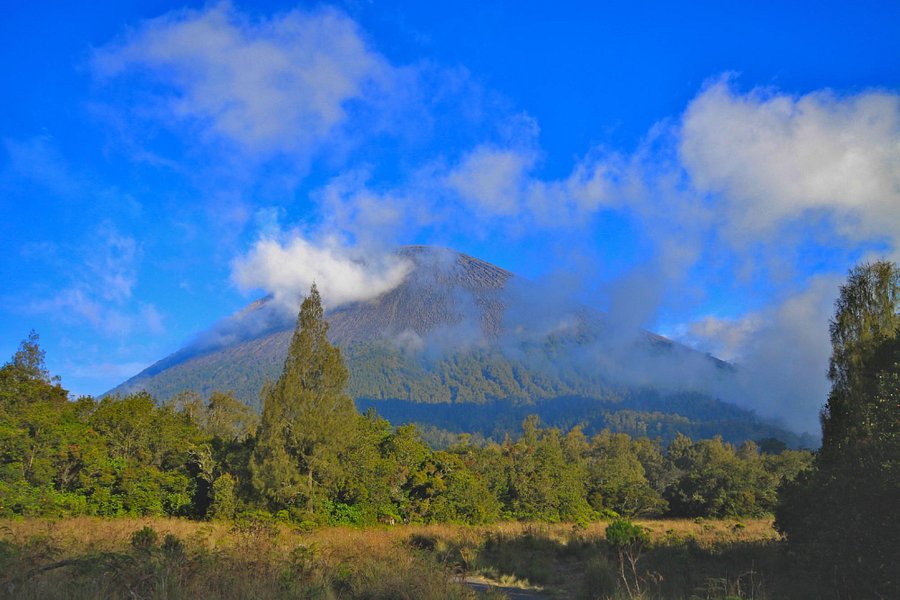 Mount Semeru Volcano image