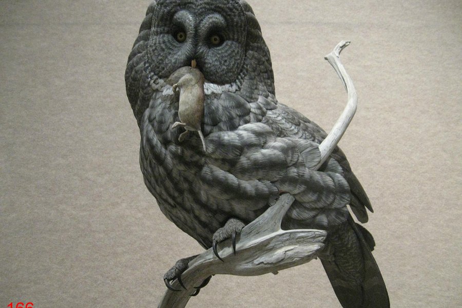 Ward Museum of Wildfowl Art image