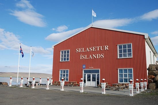Selasetur Íslands image