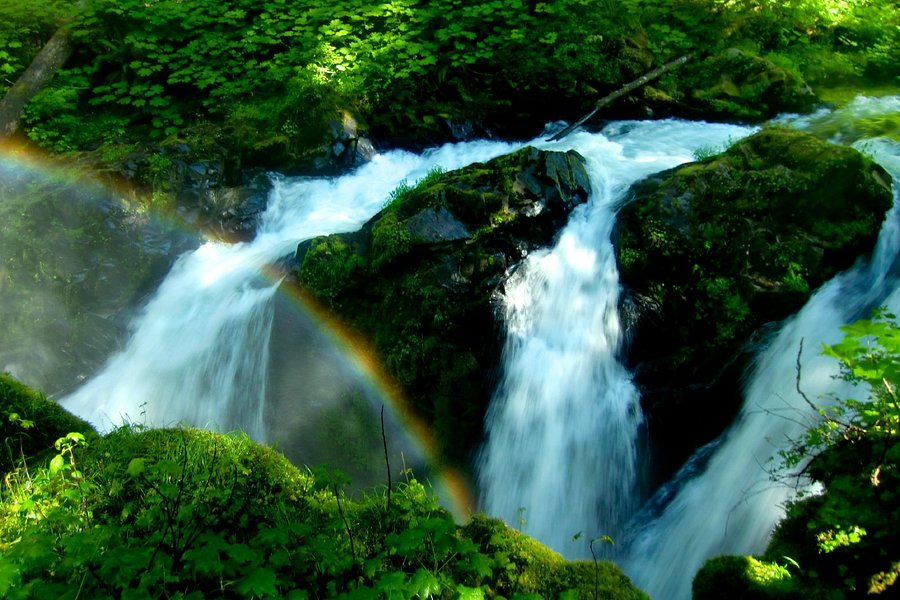 Sol Duc Falls image