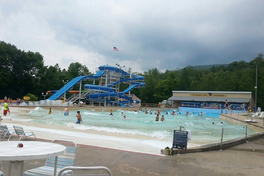 Whale's Tale Waterpark image