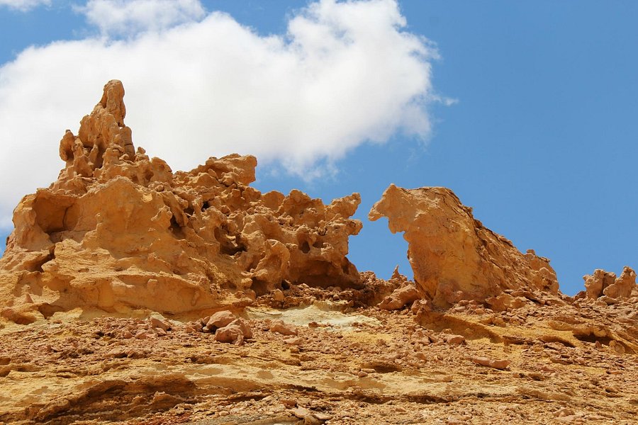 Valley of the Whales (Wadi Al-Hitan) image
