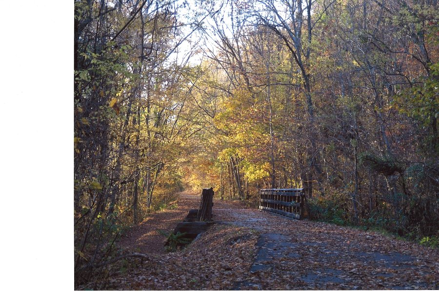 Cumberland RIver Bicentennial Trail image