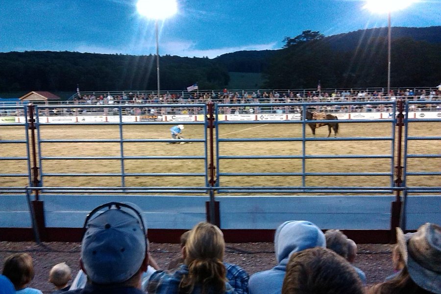 Pond Hill Ranch and Pro Rodeo image