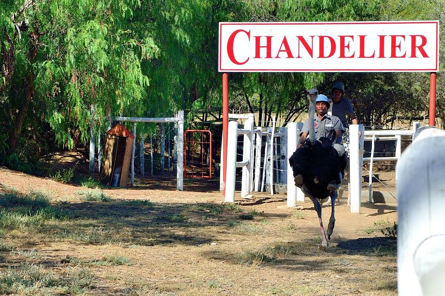 Chandelier Game Lodge & Ostrich Show Farm image