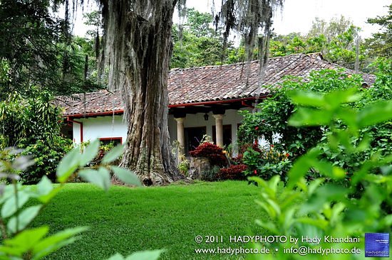 Hacienda Coloma image
