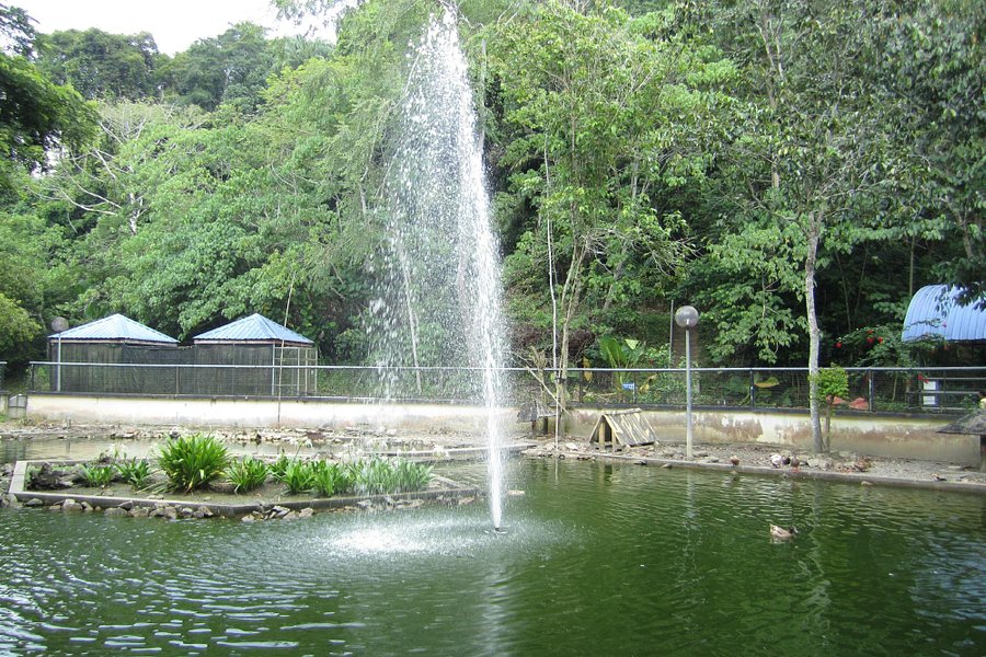 Labuan Bird Park image
