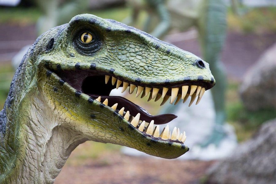 The National Dinosaur Museum image