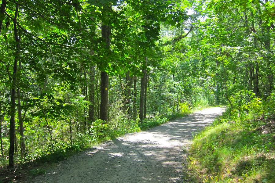 Tourne County Park image