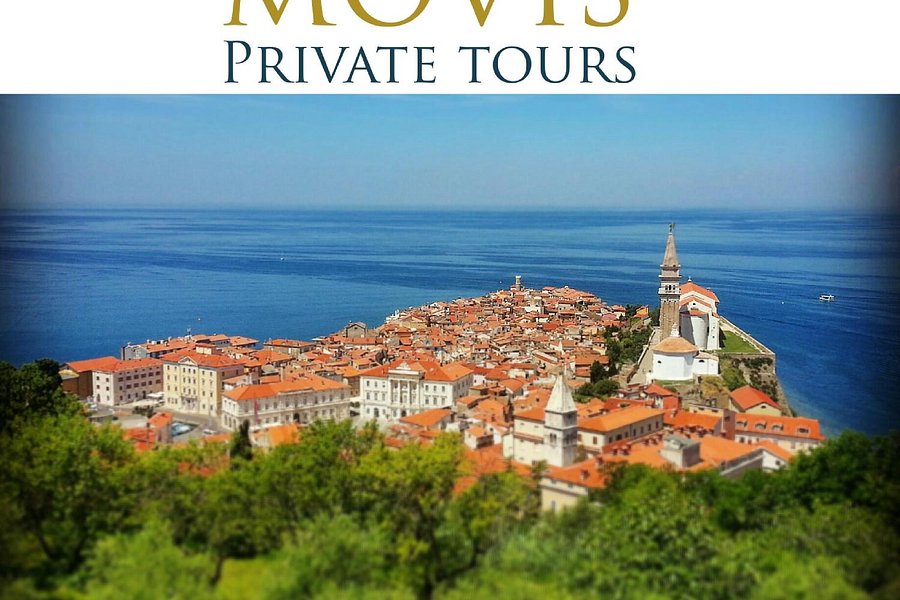 Movis Private Tours image