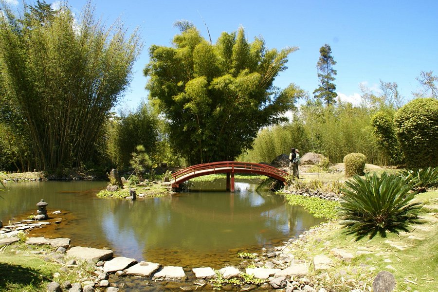 Jardin Botanico Lankester image