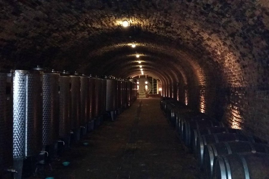 Podrum Bajilo (Wine Cellar) image