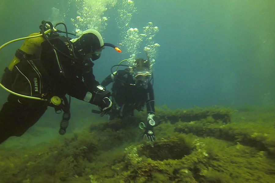 Neptunes Diving Malta image