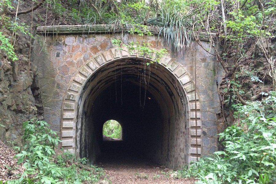Túnel Guaniquilla image