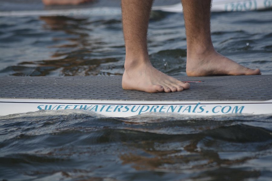 Sweetwater SUP Rentals image