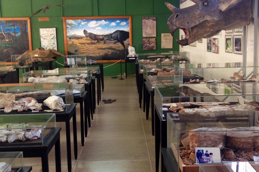Paleontologia de Monte Alto Museum image