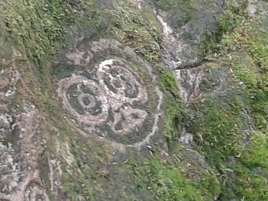 Petroglyph Galley image