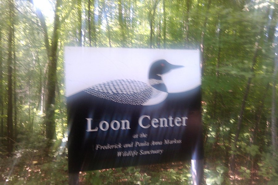 The Loon Center image