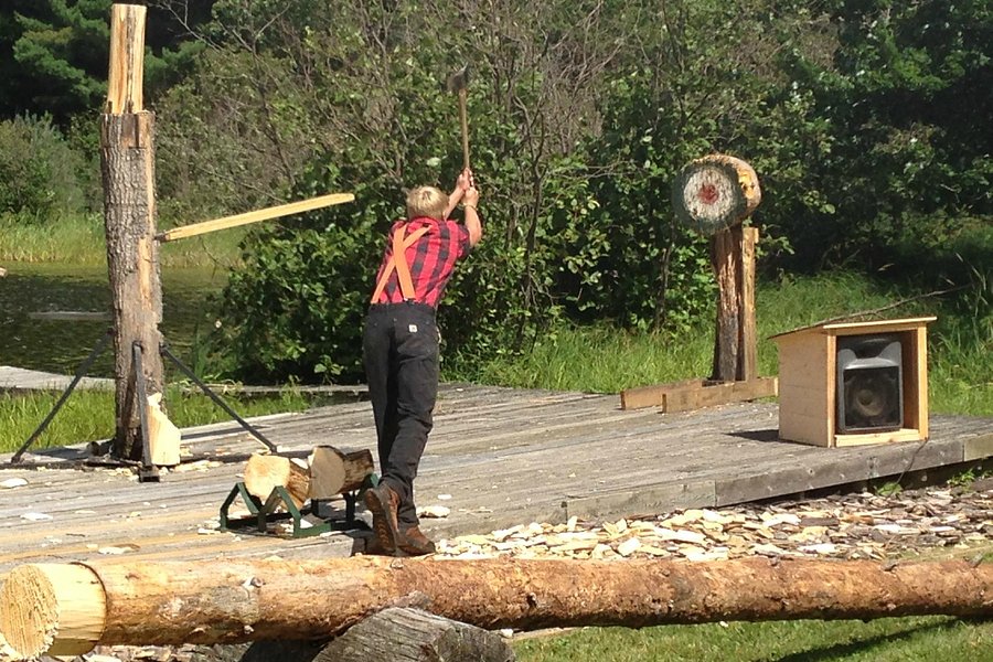 Lumberjack Shows image