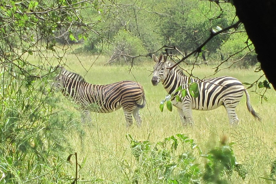 Gaborone Game Reserve image