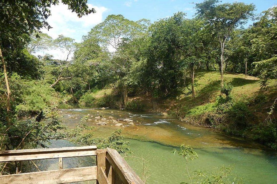 Guanacaste National Park image