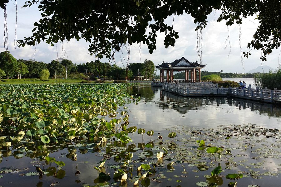 Songshan Lake Park image