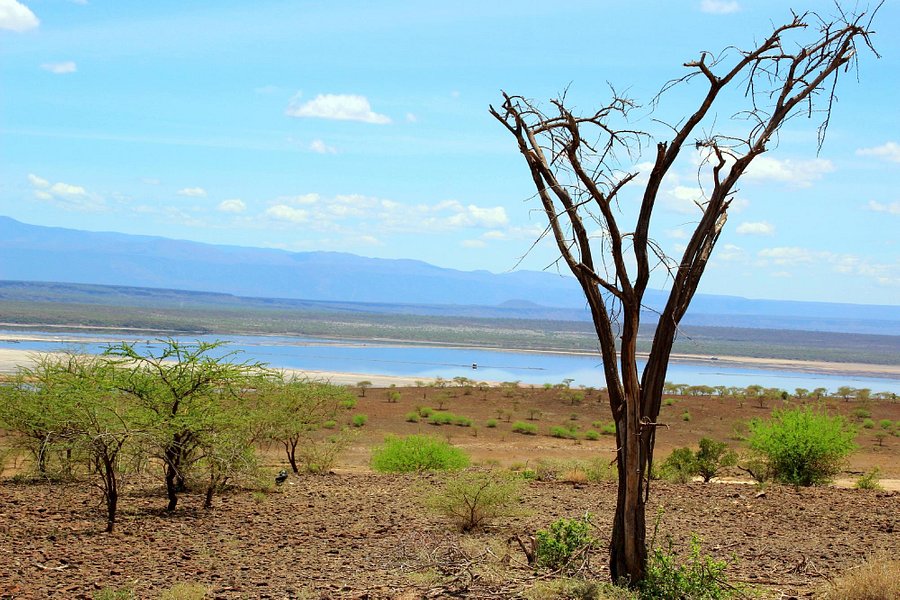 Lake Magadi Conservancy image