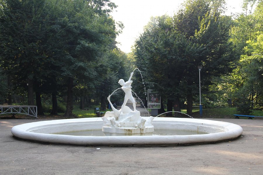 Shevchenko Central Park of Culture and Leisure image
