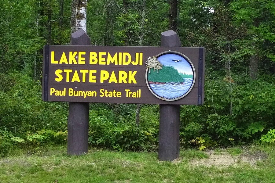 Lake Bemidji State Park image