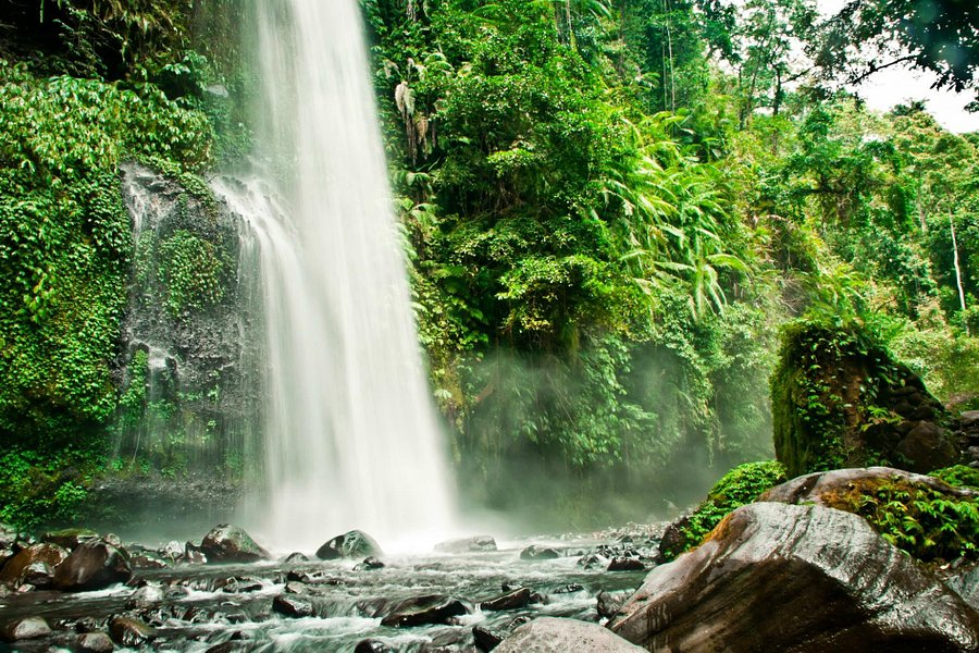Sendang Gile and Tiu Kelep Waterfall image