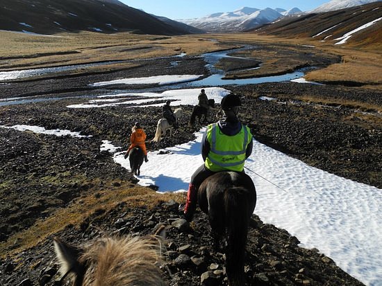 Iceland Horse Tours image
