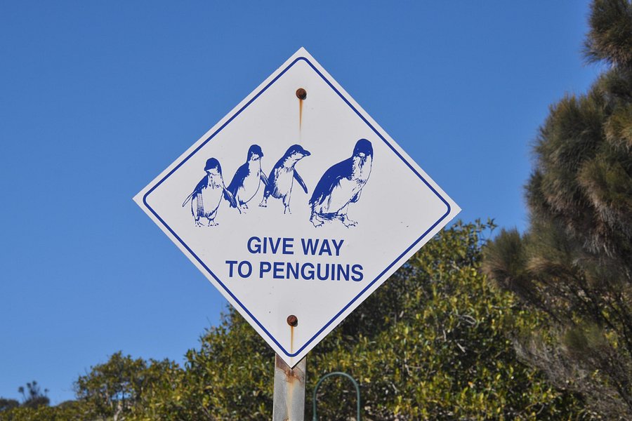 Penguin Centre image